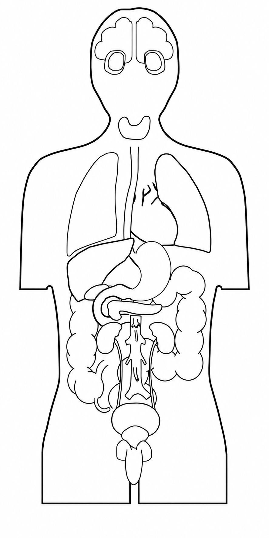 Homunculus mit farblicher Darstellung von Diagnosen am linken Auge und am Herzen