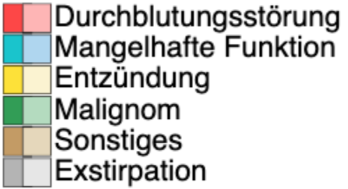 Farblegende der Diagnosevisualisierung